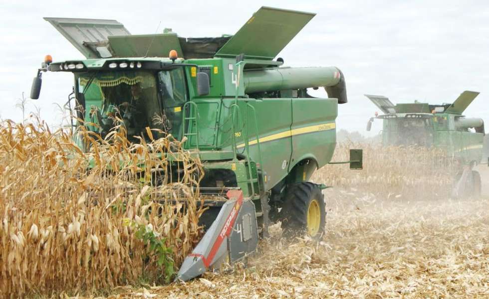 Україна завершує жнива 2025: зібрано понад 52 млн тонн зернових та олійних культур